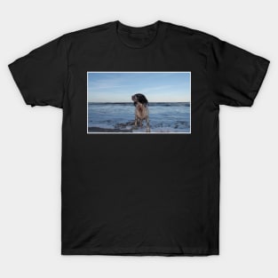 English Springer Spaniel T-Shirt